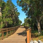 Kissimmee Natural Trails
